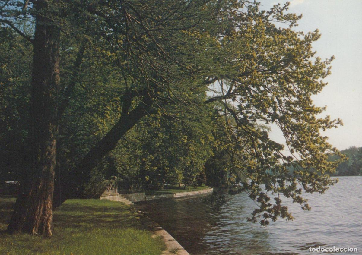 Cartes Postales: Germany Berlin Wannsee Lake Shoreline Trees Landscape Vintage *YAX163