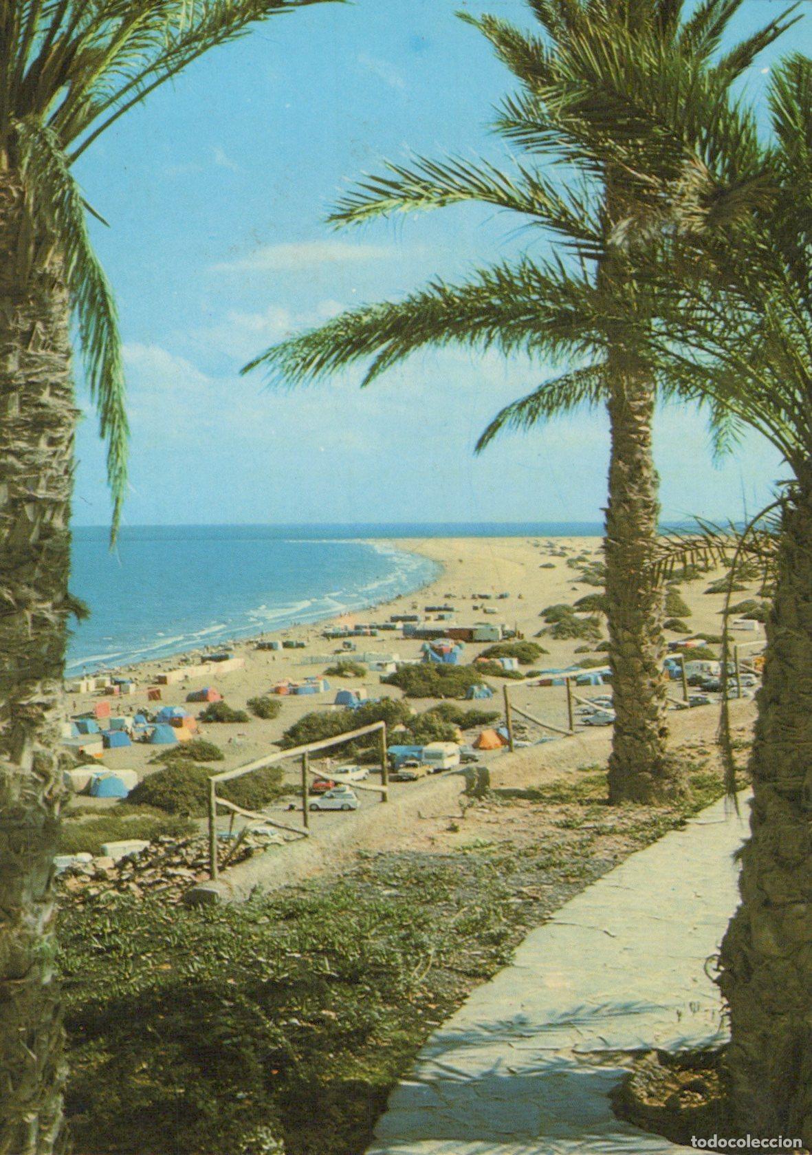 Cartoline: Spain Gran Canaria El Playa del Ingles Beach With Palm Trees Campers *YAX903
