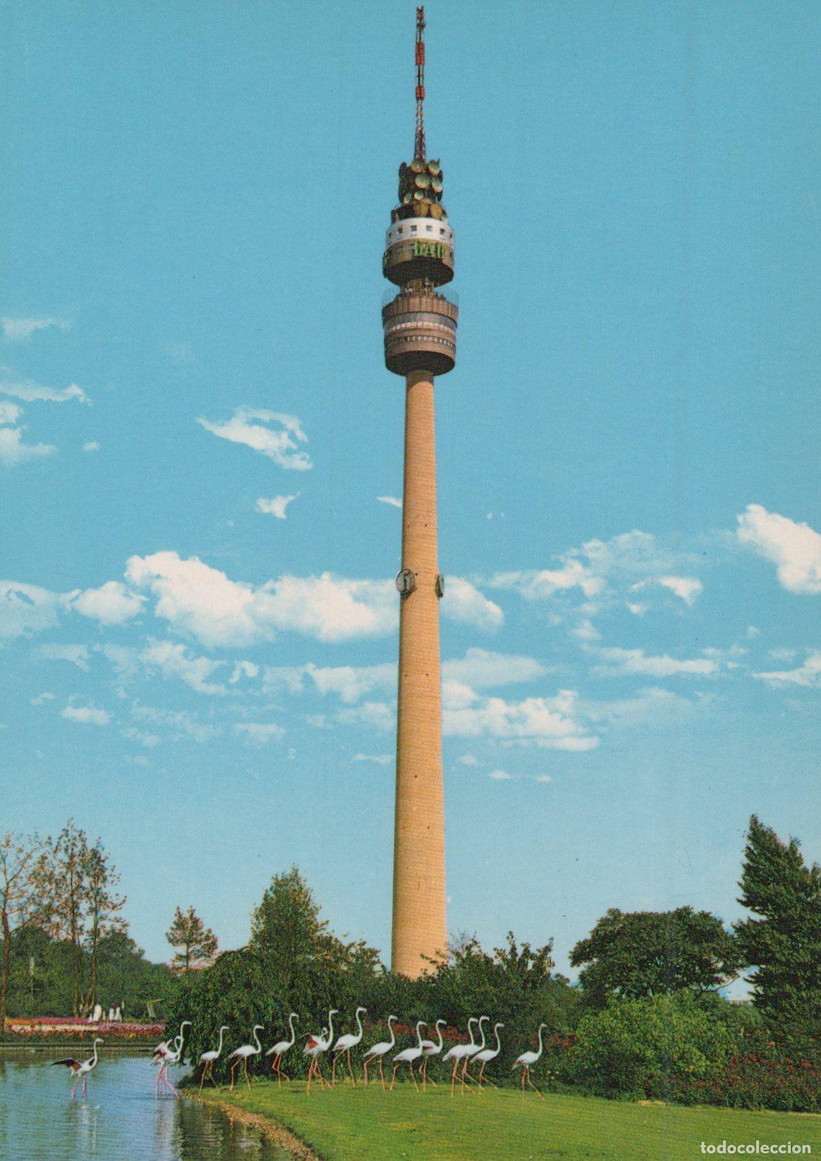 Postales: Germany Dortmund Westfalenpark Fernsehturm TV Tower Flamingos Unposted *YAX997