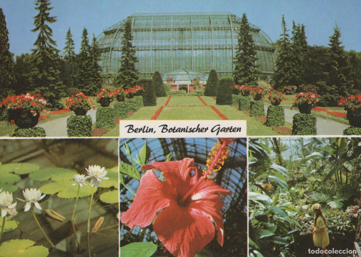 Postcards: Germany Berlin Botanical Garden Greenhouse Flowers Water Lilies Unposted *YAX193
