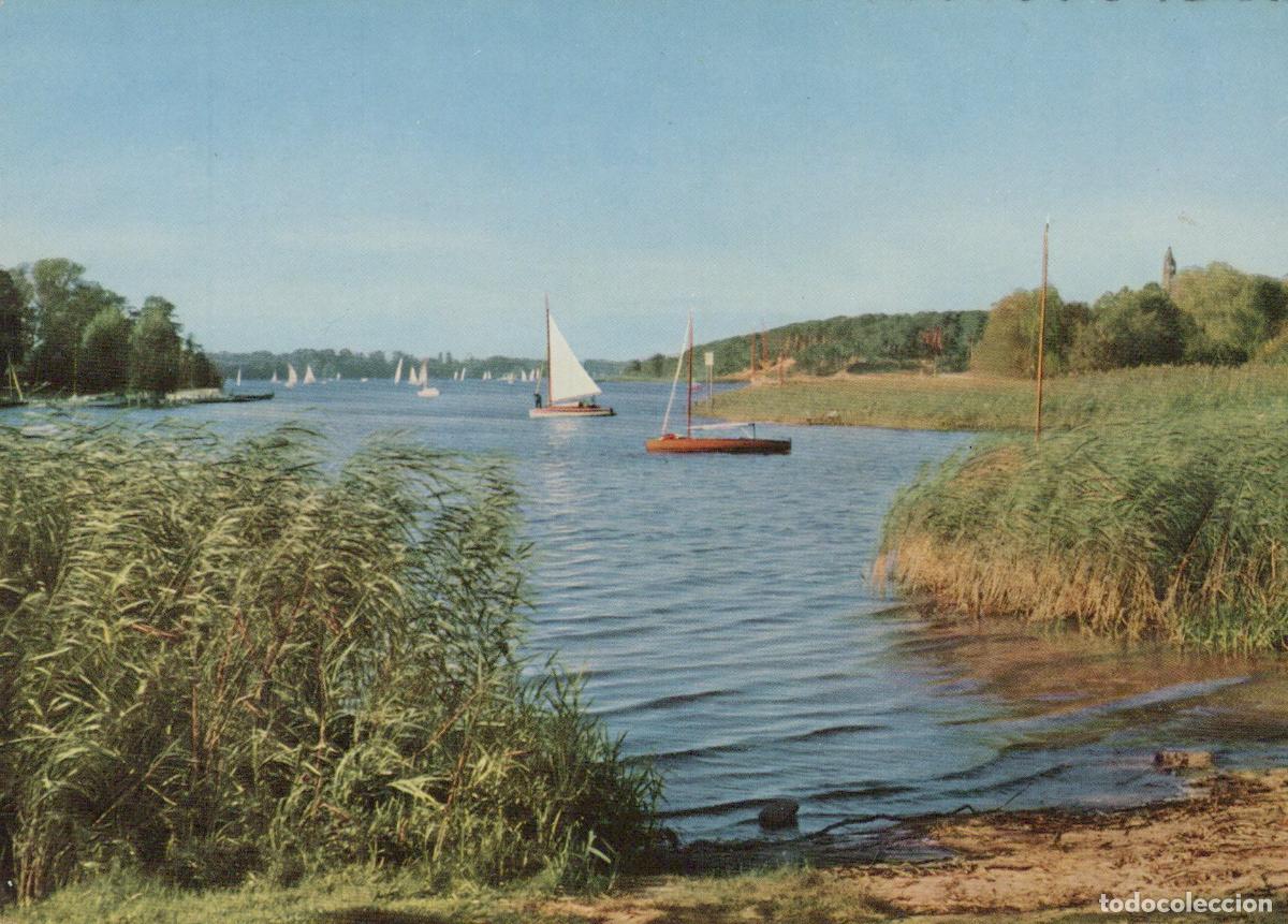 Postcards: Germany Berlin Wannsee Lake Sailboats Reed Landscape Vintage *YAX257