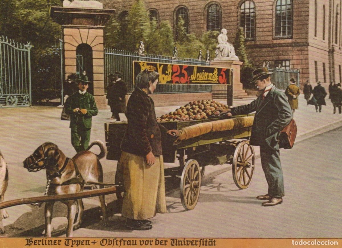 Postcards: Germany Berlin Street Scene Fruit Seller With Dog Cart Unposted *YAX422
