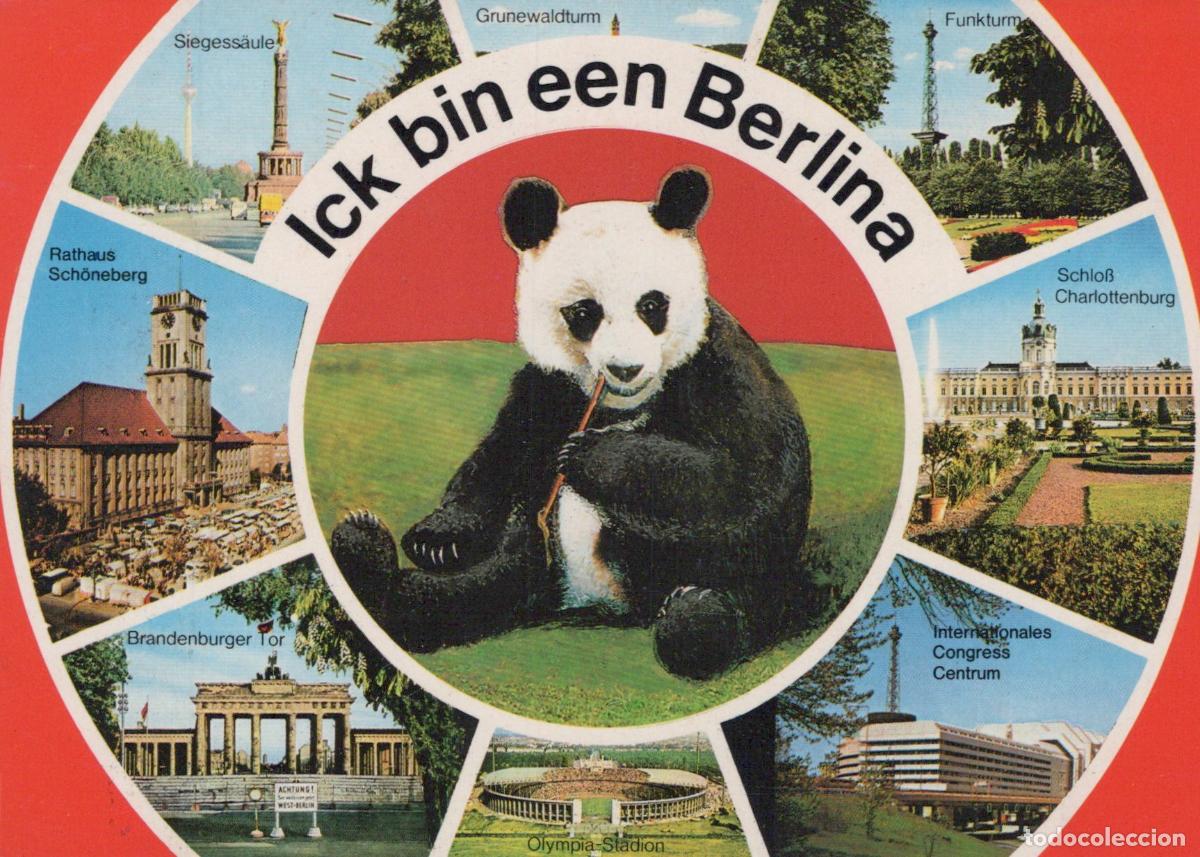 Cartes Postales: Germany Berlin Collage Panda Rathaus Sch&ouml;neberg Brandenburg Unposted *YAX491