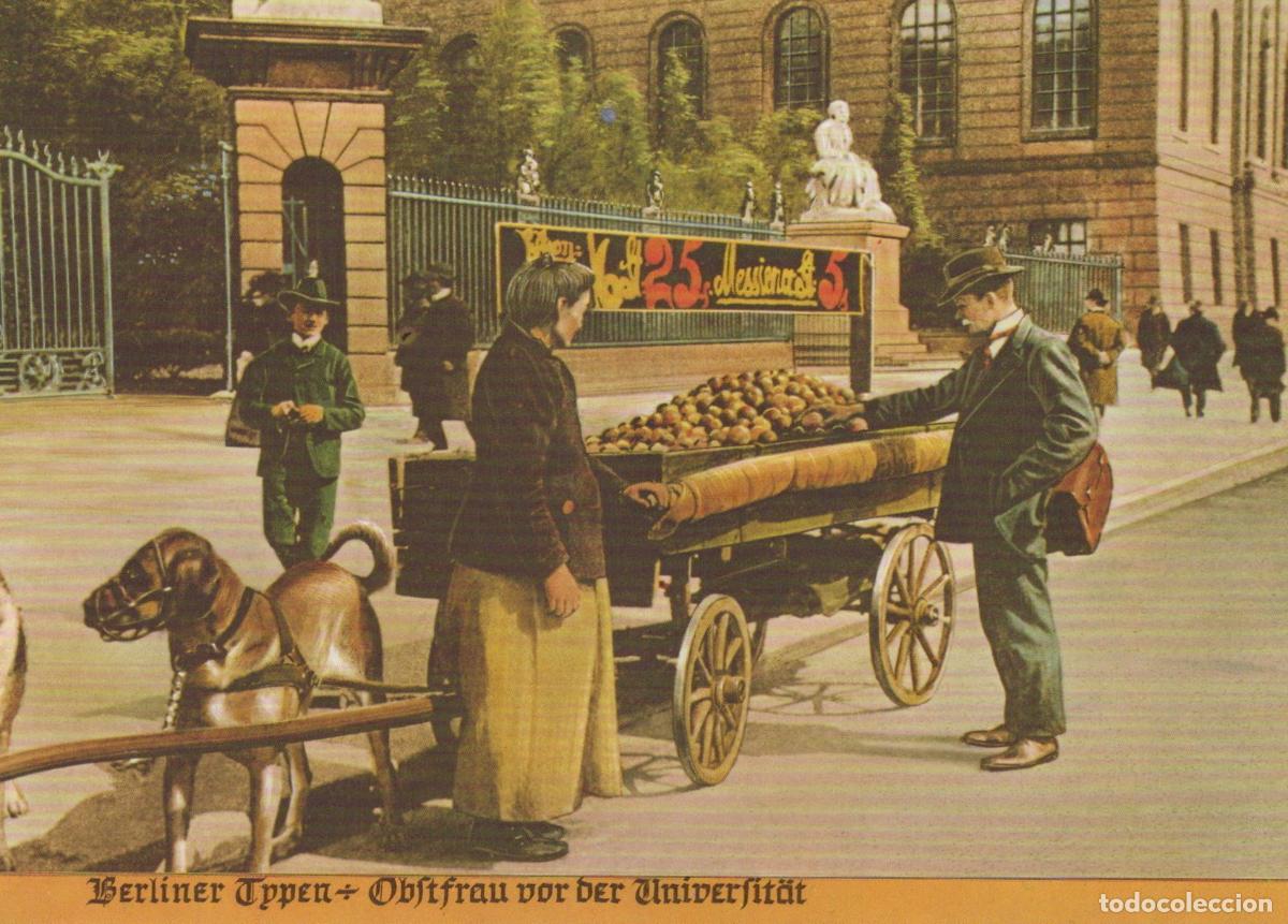 Postais: Germany Berlin Fruit Seller With Dog Cart Outside University Unposted *YAX347