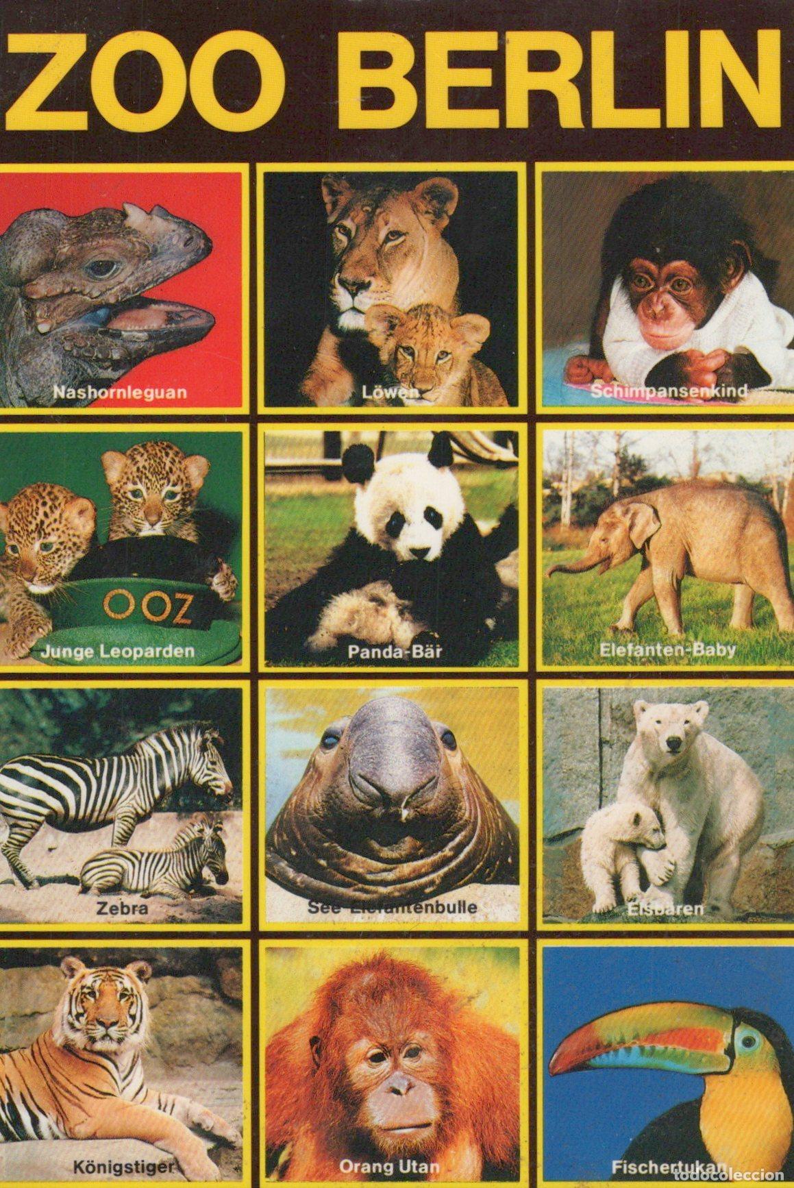 Postais: Germany Berlin Zoo Animals Collage Rhinoceros Lion Chimpanzee Unposted *YAX717