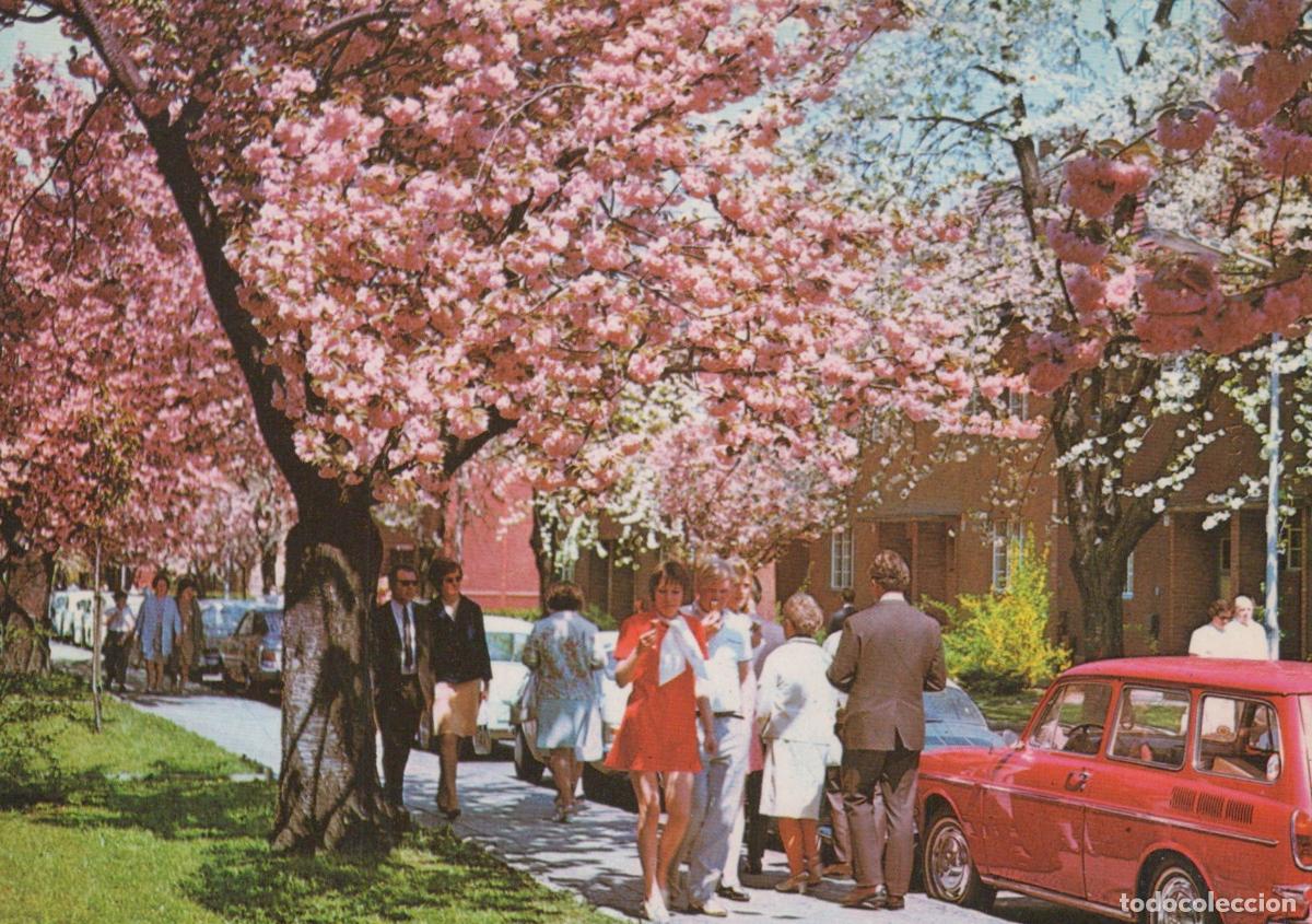 Postales: Germany Berlin Britz Cherry Blossom Festival People and Red Car Unposted *YAX524