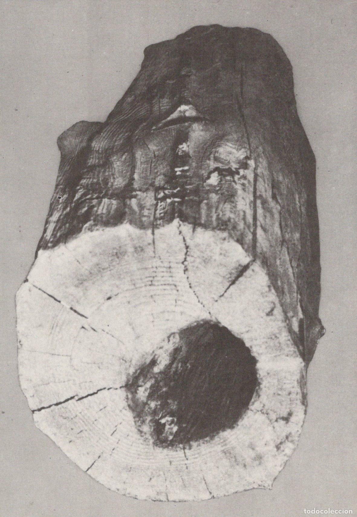 Postales: Germany Berlin Mitte Old Wooden Water Pipe Fragment From 1572 Unposted *YAX785