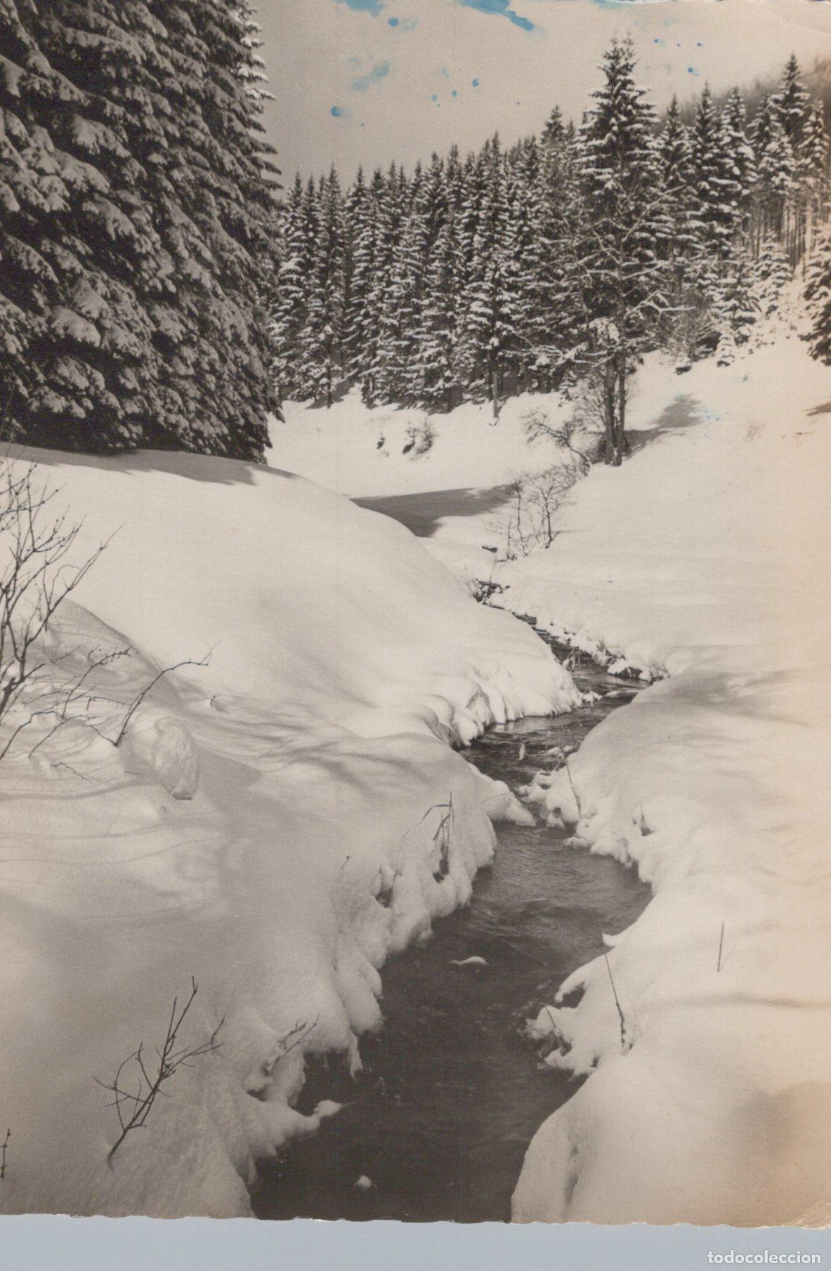 Cartoline: Germany Winter Landscape With Stream and Snow Covered Fir Trees *YAX803
