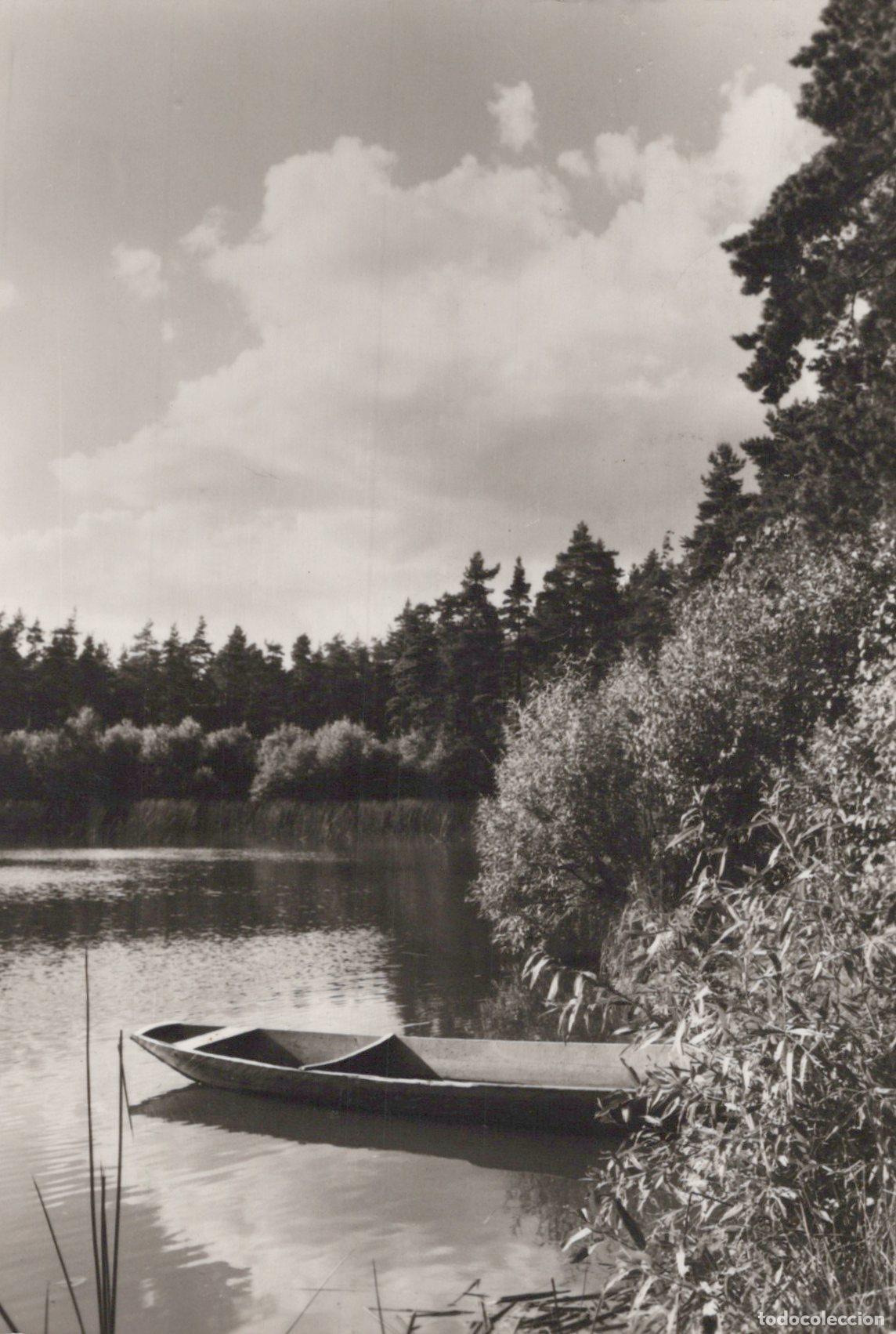 Postcards: Germany Dresden Lake With Rowboat and Forest Landscape *YAX807