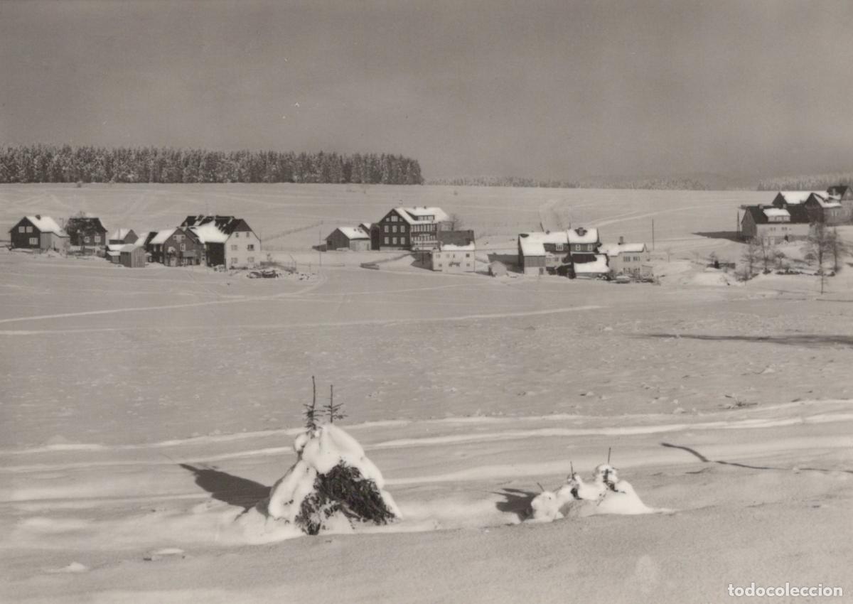 Cartoline: Germany Siegmundsburg Thuringian Forest Winter Real Photo Unposted *YAX821