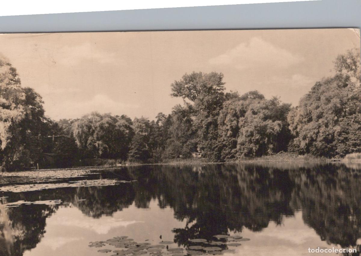 Postales: Germany Bitterfeld Wolfen Lake With Trees and Reflections Landscape View *YAX885