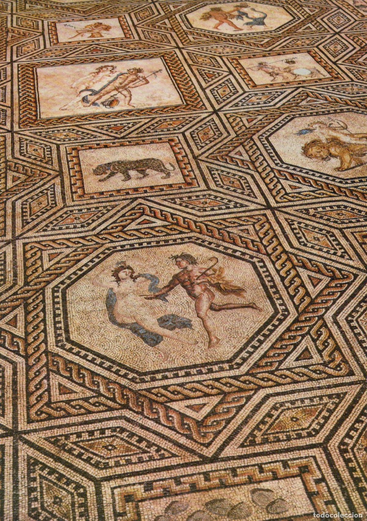 Cartes Postales: Germany Cologne Roman Germanic Museum Dionysos Mosaic Ancient Unposted *YAX916