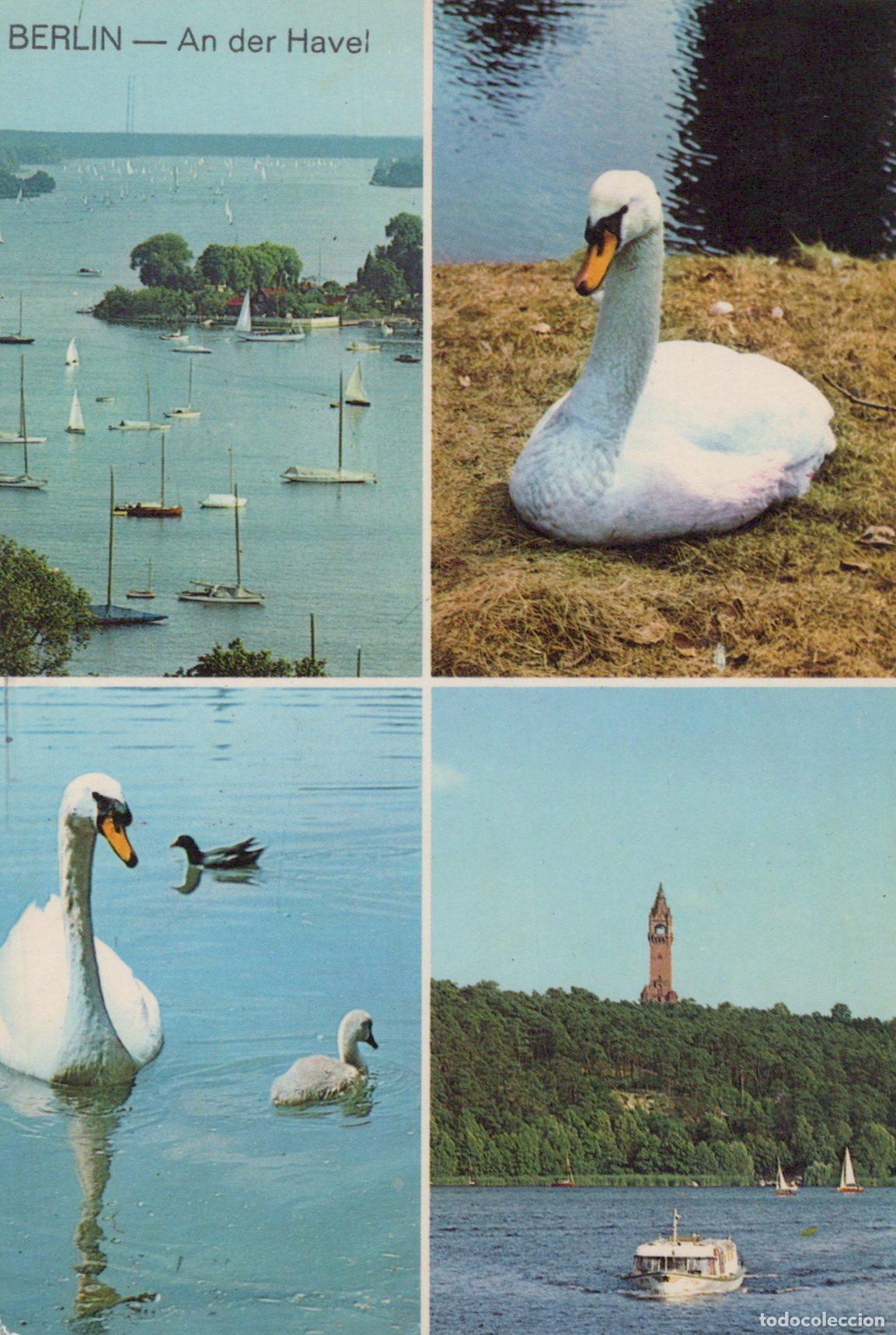 Cartoline: Germany Berlin Havel River With Sailboats Swans and Tower View *YAX650