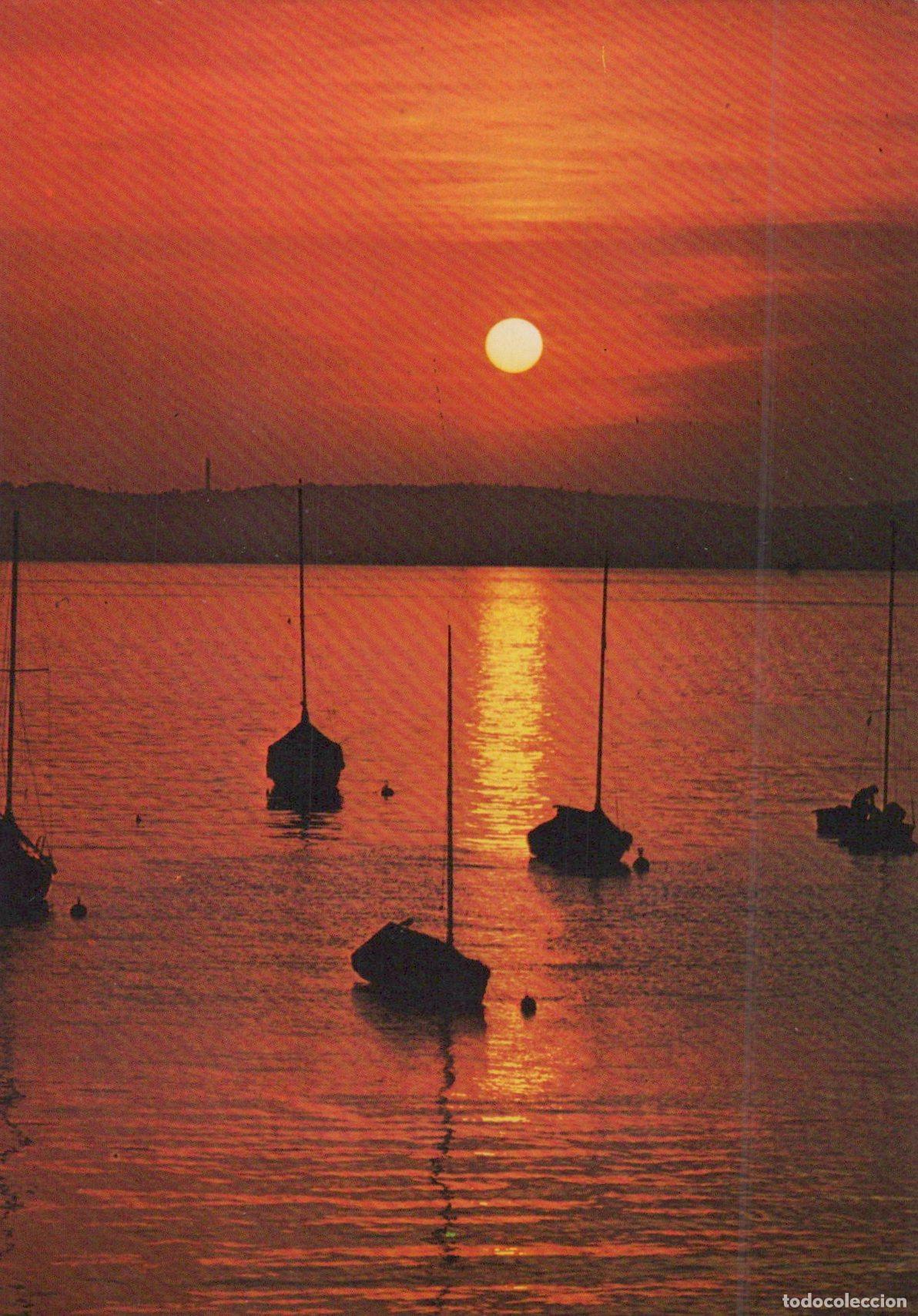 Postkarten: Germany Lake Constance Sunset Sailboats Landscape *YAY001