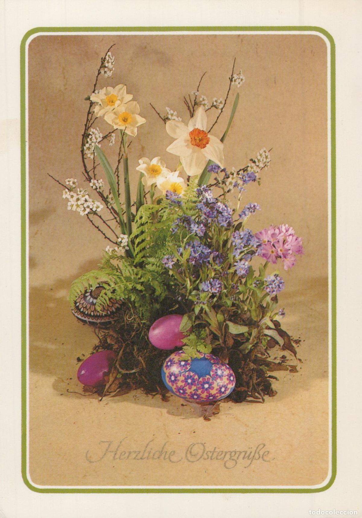 Postales: Germany Hannover Easter Greetings Daffodils Forget Me Nots Ferns *YAY032
