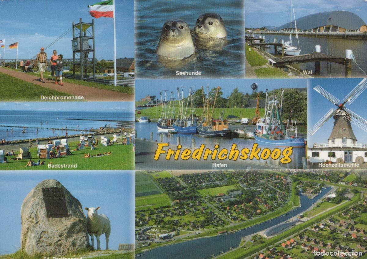 Cartes Postales: Germany Friedrichskoog Multi View Seals Harbor Beach Windmill Sheep *YAY238