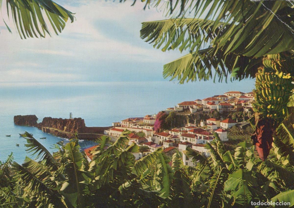 Cartes Postales: Portugal Camara de Lobos Fishing Village Coastal View With Banana Trees *YAY278