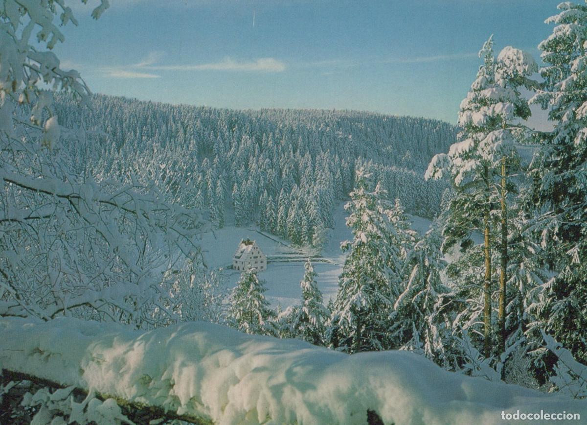 Cartoline: Germany Freudenstadt Winter Landscape View of B&auml;renschl&ouml;&szlig;le Unposted *YAY122