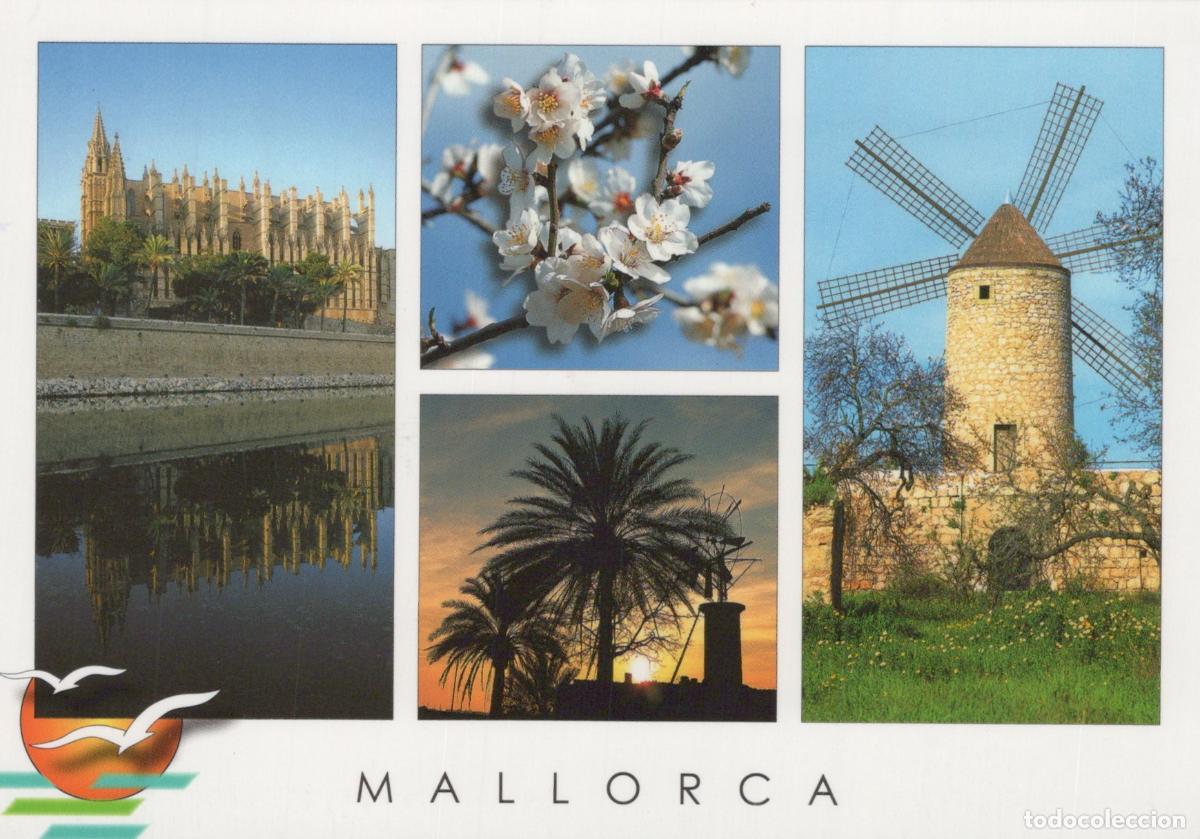 Postkarten: Spain Mallorca Cathedral Windmill Palm Trees Almond Blossoms Collage *YAY420
