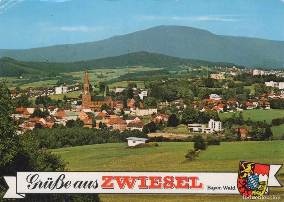 Cartoline: Germany Zwiesel Panoramic View of Town With Church and Mountains *YAY151