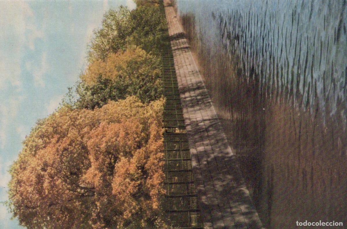 Cartoline: Russia Kronstadt Obvodny Canal Autumn Trees and Waterway Unposted *YAY358