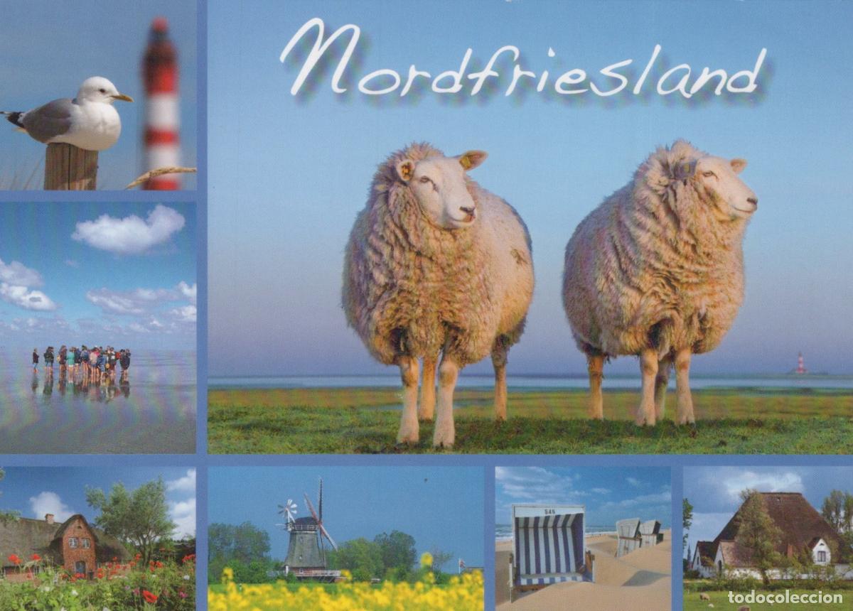 Cartoline: Germany Nordfriesland Collage With Sheep Lighthouse Beach and Windmill *YAY362