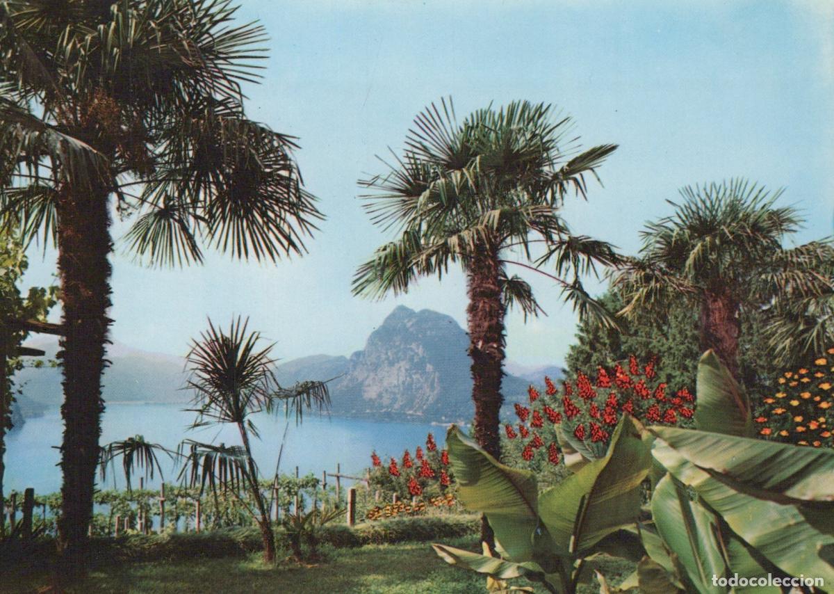 Postales: Switzerland Lugano Partial View With Mount San Real Photo Unposted *YAY442