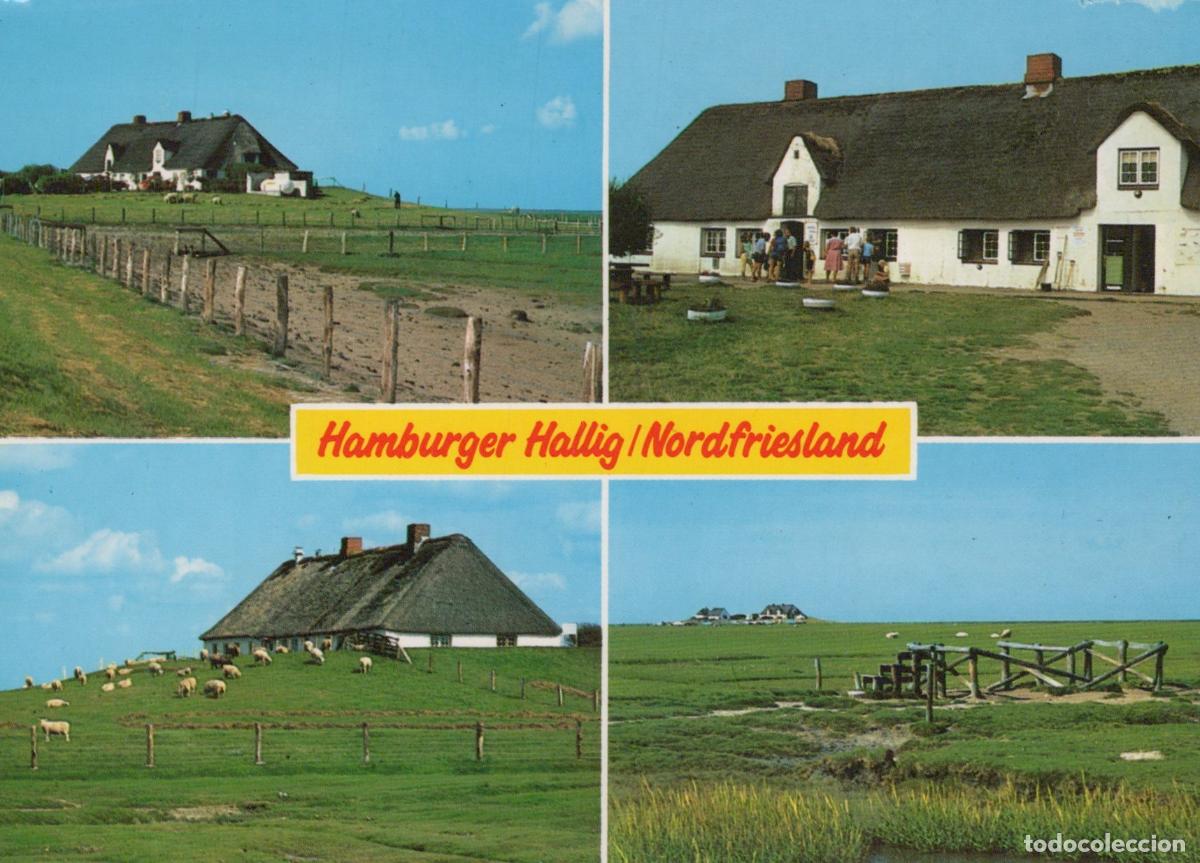 Cartes Postales: Germany Hamburger Hallig Houses and Sheep *YAY479