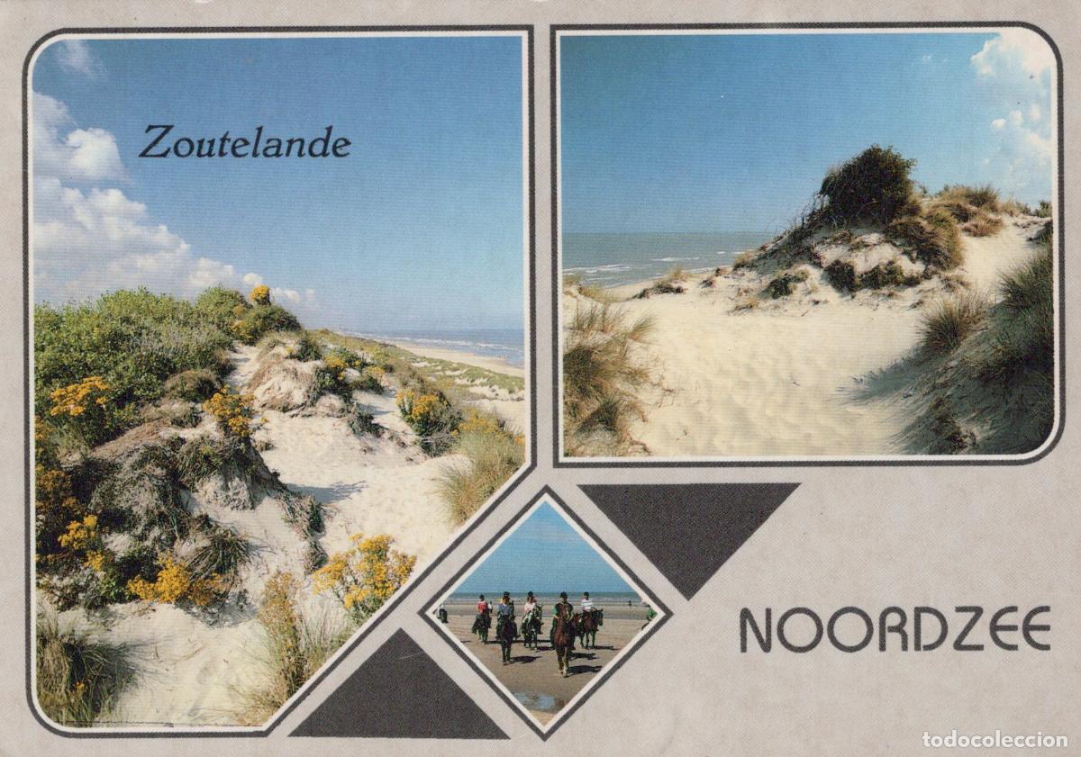 Postkarten: Netherlands Zoutelande Noordzee Beach Dunes Horseback Riding *YAY385
