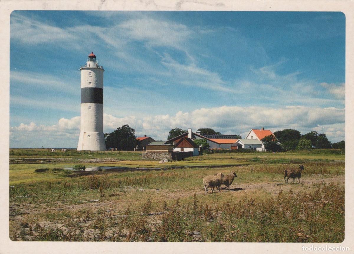 Postkarten: Sweden &Ouml;land S&ouml;dra Udde L&aring;nge Jan Lighthouse With Sheep in Field *YAY468
