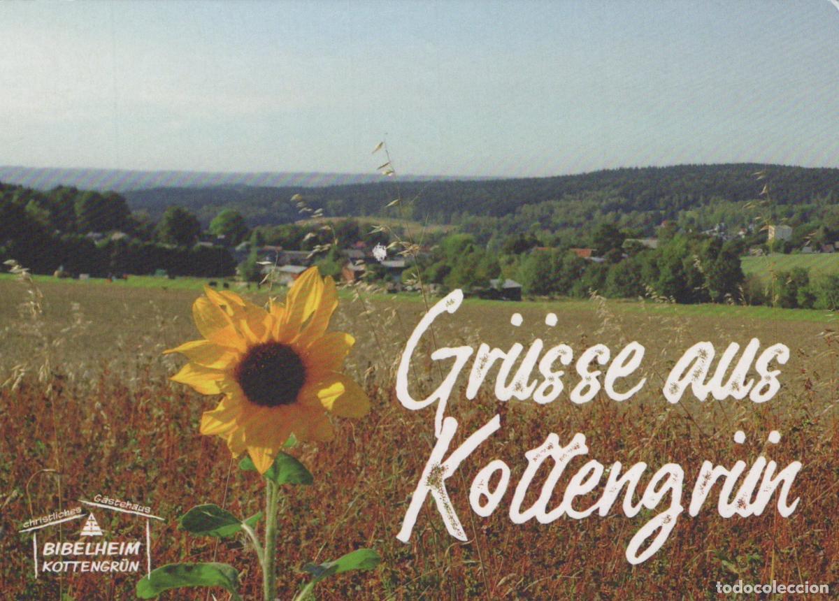 Postais: Germany Kottengr&uuml;n Greetings From Sunflower in Field Landscape View *YAY482