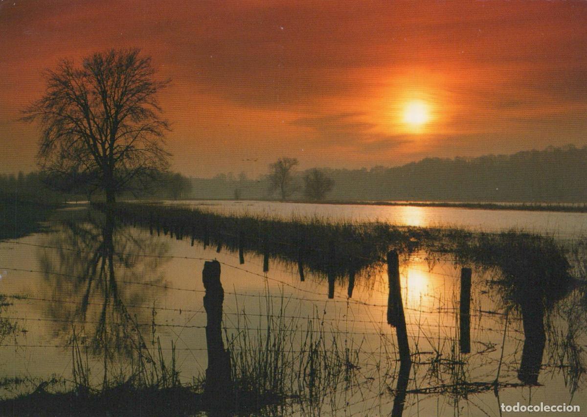 Postcards: Germany Dinslaken Lower Rhine Sunset Over Flooded Fields With Tree *YAY352