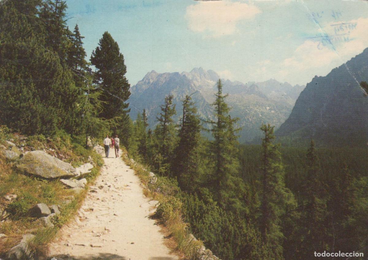 Postales: Slovakia Popradske Pleso Mountains Czechoslovakia Hiking Trail To *YAY557
