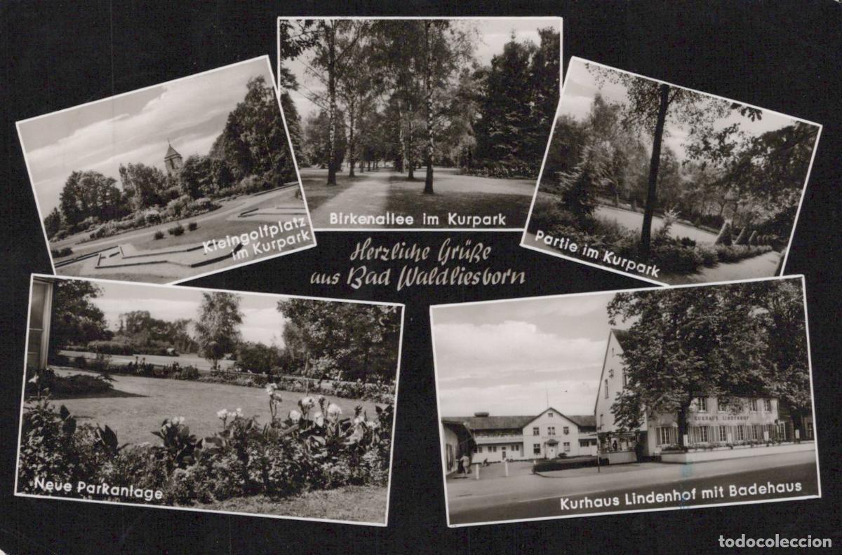 Postcards: Germany Bad Waldliesborn Kurpark Kleingolfplatz Birkenallee Kurhaus *YAY792