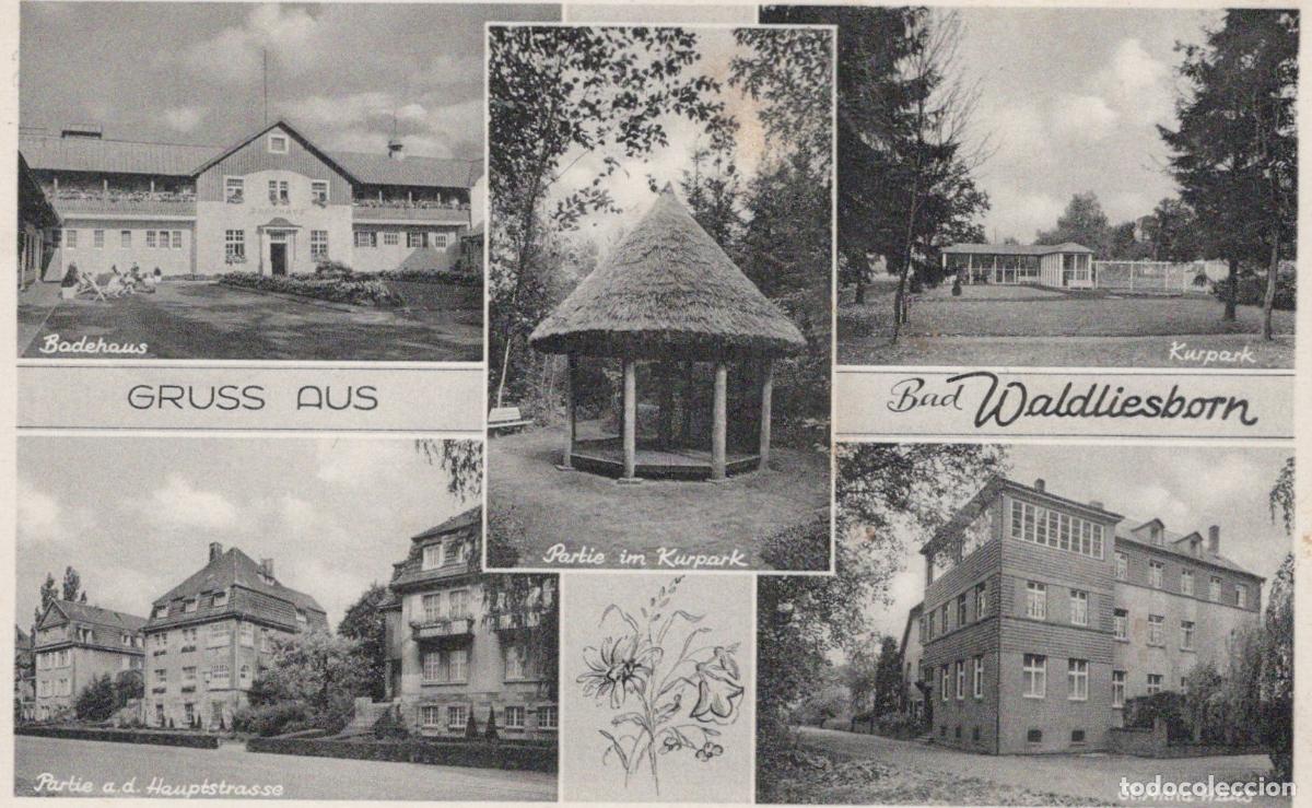 Cartes Postales: Germany Bad Waldliesborn Multi View Badehaus Kurpark Hauptstrasse St *YAY798
