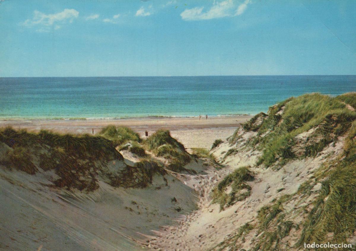 Cartes Postales: Netherlands Valkenburg Coastal Dunes and Beach Landscape *YAY538
