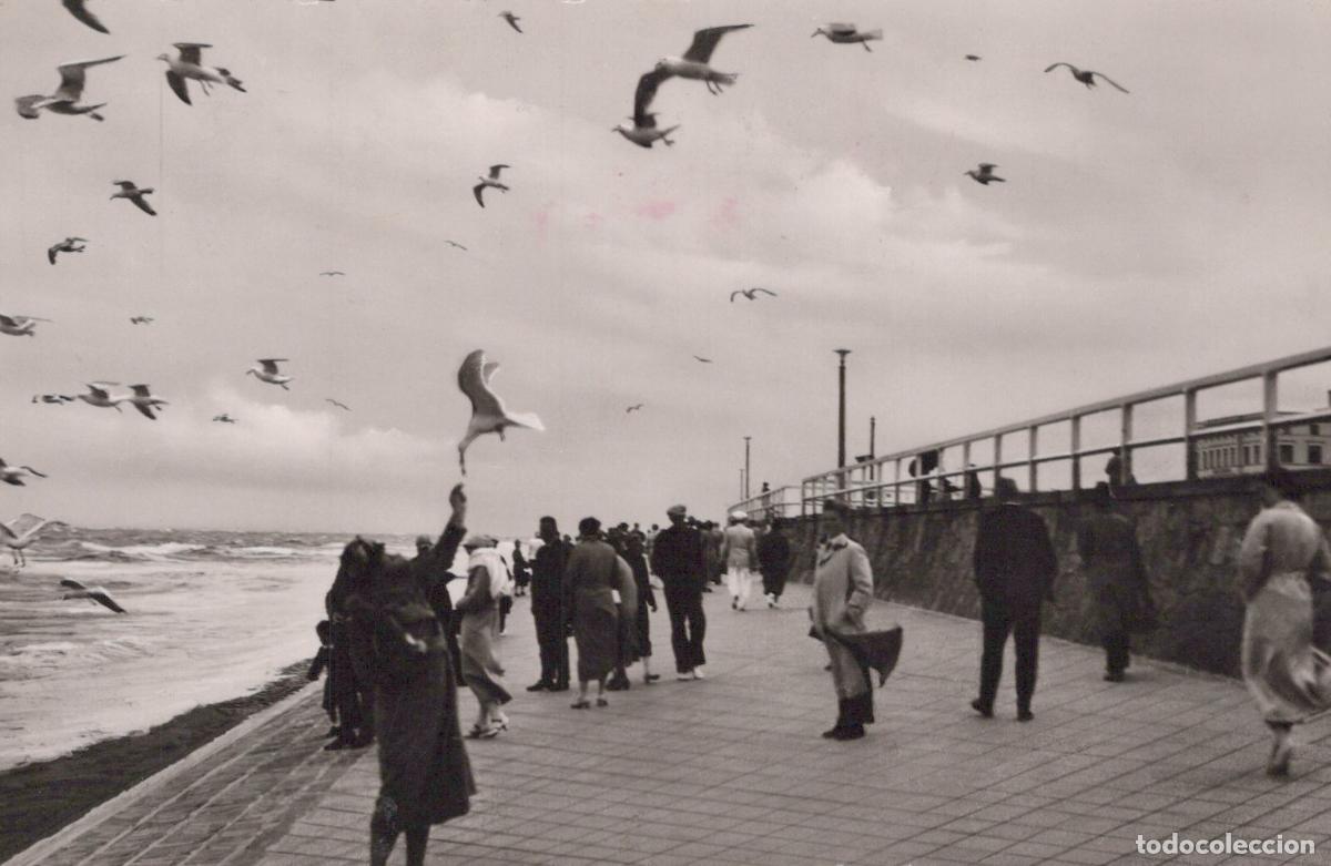 Postkarten: Germany Norderney People Feeding Seagulls On Promenade By North Sea *YAY751