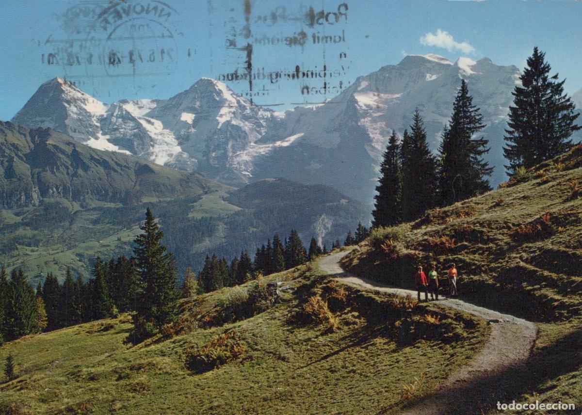 Postkarten: Switzerland Grindelwald Eiger Monch Jungfrau *YAY578