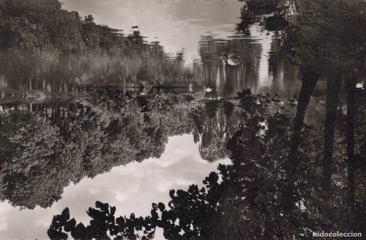 Postais: Germany Bad Neuenahr Swans On the Lake At *YAY900
