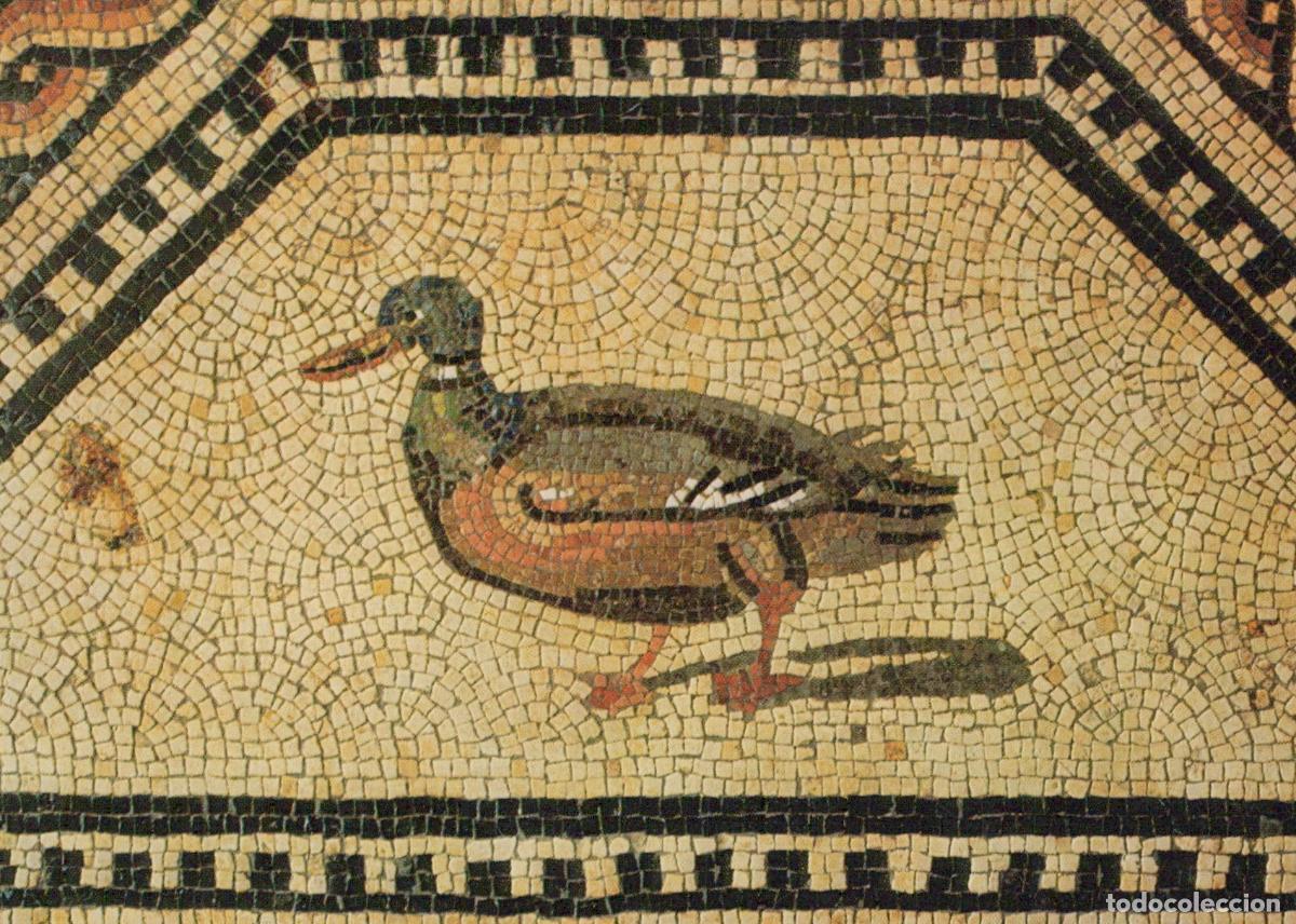 Postais: Germany Cologne Roman Germanic Museum Duck Detail Dionysos Unposted *YAY676
