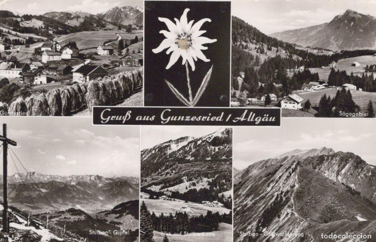 Postcards: Germany Gunzesried Allg&auml;u Multi View Edelweiss Mountains Landscape *YAY815