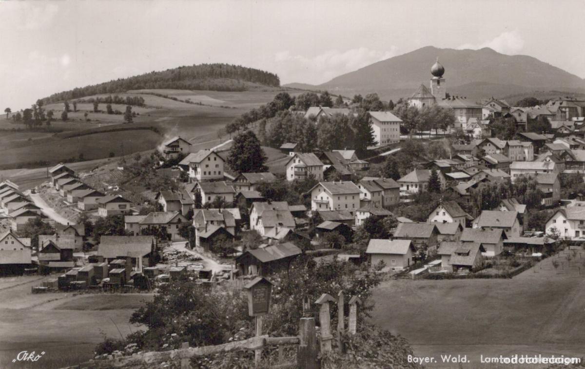 Postcards: Germany Lam Bayer Wald mit Hohenbogen Village Landscape *YAY706