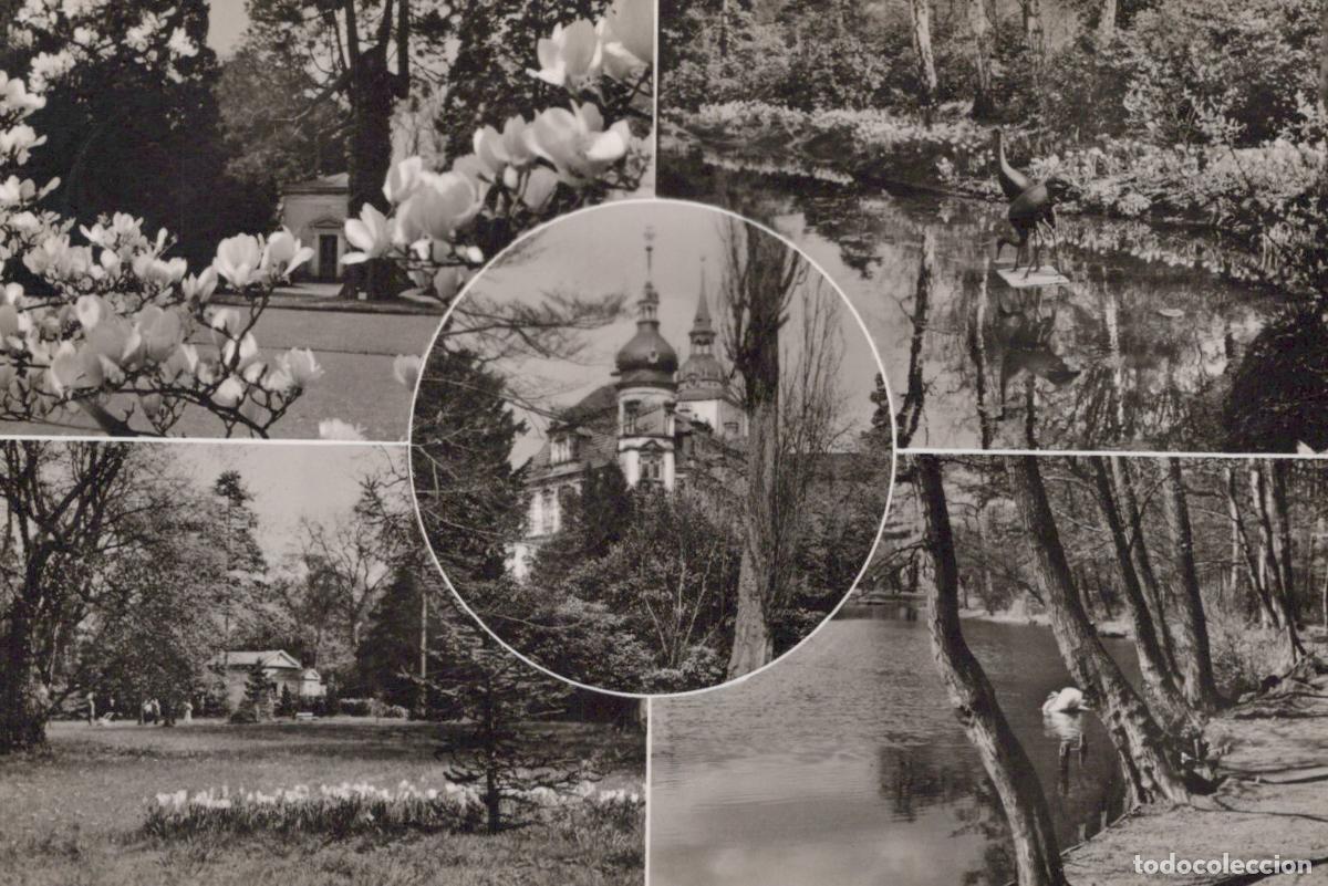 Cartoline: Germany Oldenburg Castle and Park Collage 1950s *YAY845