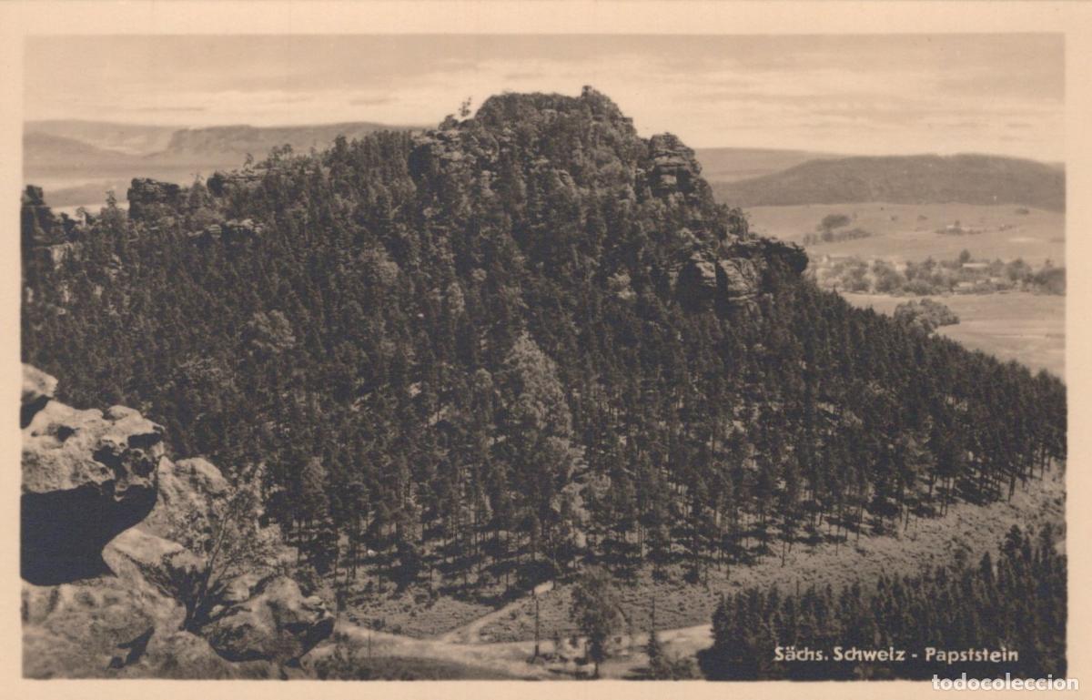 Postais: Germany Saxon Switzerland Papststein Mountain Forest Landscape Unposted *YAY764