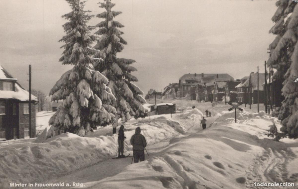 Postais: Germany Frauenwald Winter Skiing Scene With Snow Covered Trees and *YAY876