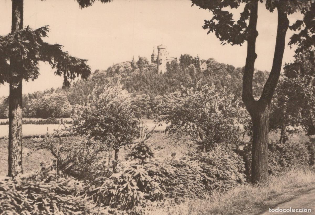 Postais: Germany Meiningen Distant View of Landsberg Castle On A Wooded Hill *YAY973