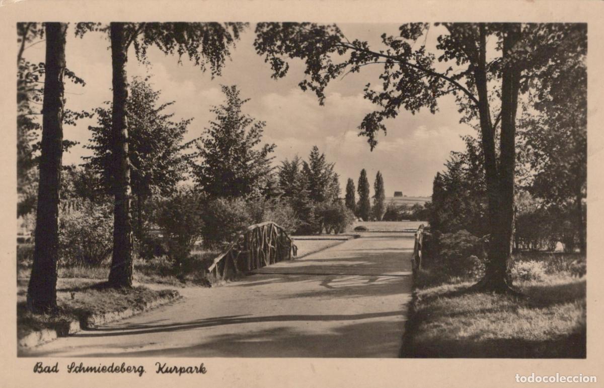Postales: Germany Bad Schmiedeberg Kurpark Wooden Bridge Path Trees Landscape *YAY955