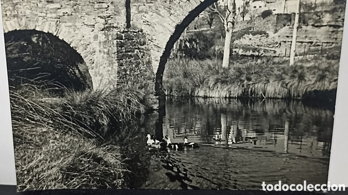 Postales: AvinYo Francia y precioso paisaje rural puente
