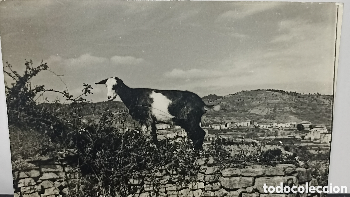 Postales: Avinyo Francia paisaje rural