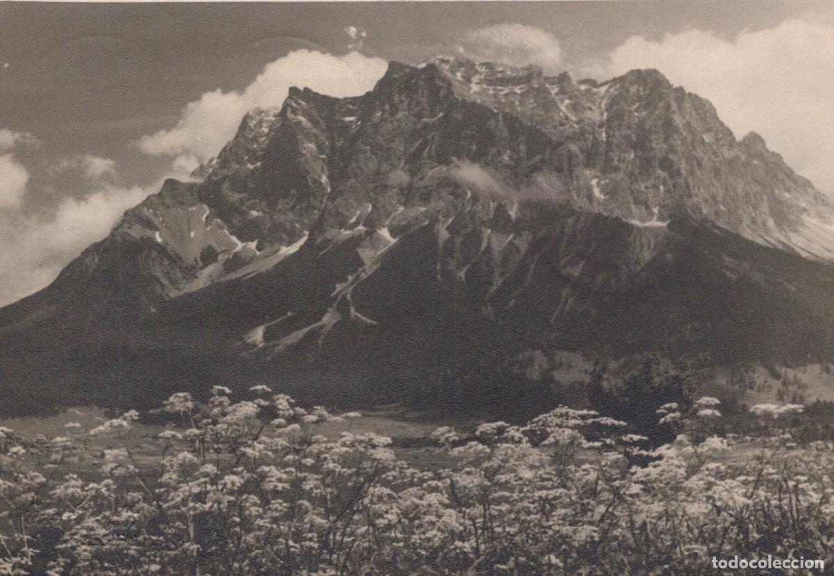 Cartes Postales: Germany Garmisch Partenkirchen Mountain Landscape With Wildflowers *YAZ013